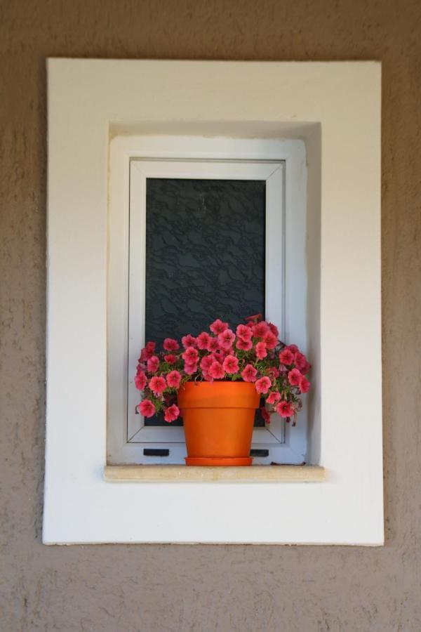 Apartament Nikoleta's Argostoli (Kefalonia)