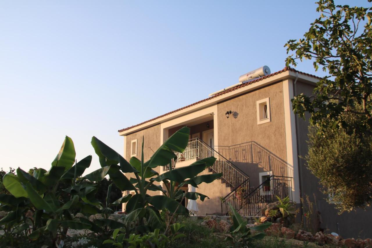 Apartment Nikoleta's